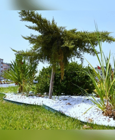 image_61UF5124V7.png