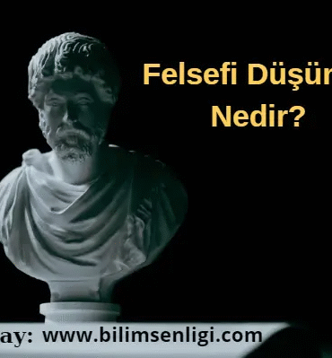 image_UA74W7B66M.png