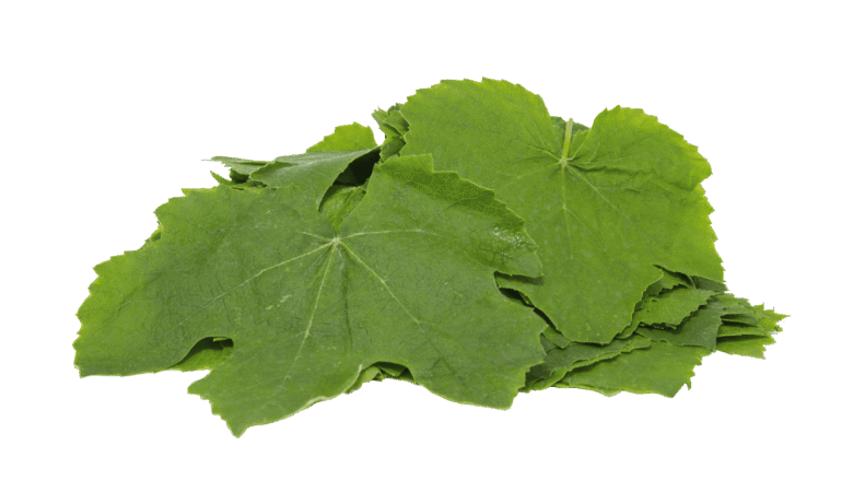image_YVC3EAU52P.png