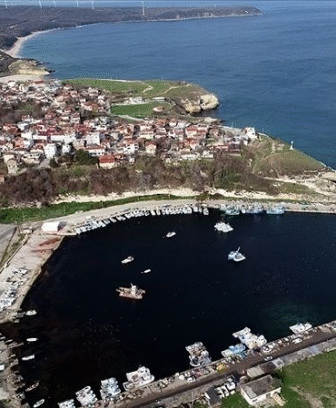 image_1W9811TL0W.png