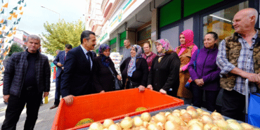image_AVAZ0P50H4.png