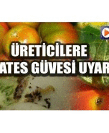 image_BBMPVCK3VD.png