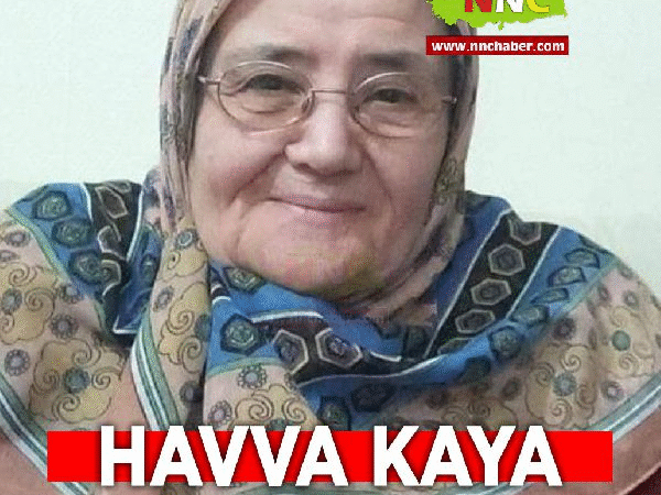 image_T7KR4TQ06P.png