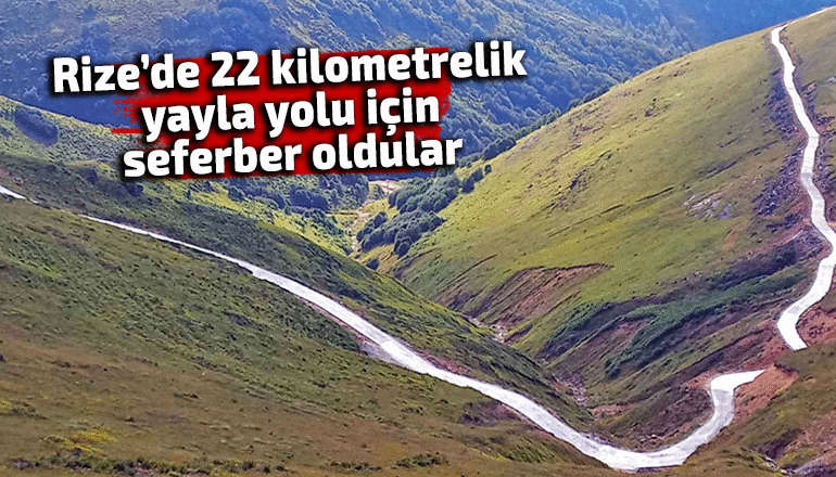 image_XAUFJIBW0T.png
