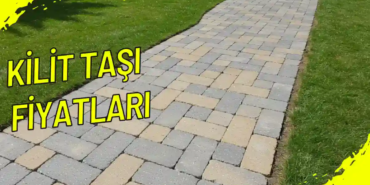 image_b93fb550-ef90-4bd3-8f5a-4f718d1cbe67.png