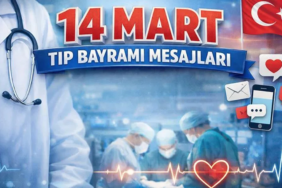 image_cf301874-e1f0-4fe6-899a-799e5cfc67db.png