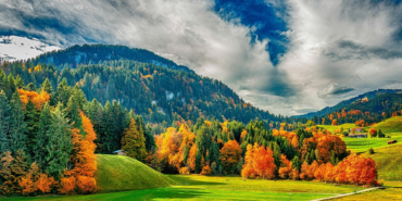 image_fe92281f-e1ae-4ccf-a1a8-8dd73df2c5fa.png