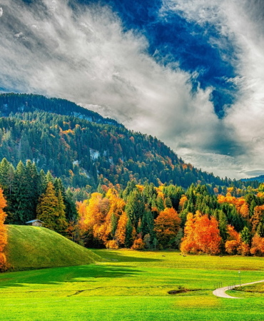 image_fe92281f-e1ae-4ccf-a1a8-8dd73df2c5fa.png