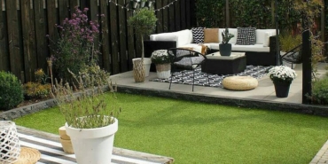 Çuha Çiçeği: Kırklareli Bahçelerinde Doğayı Renklendiren Güzellik