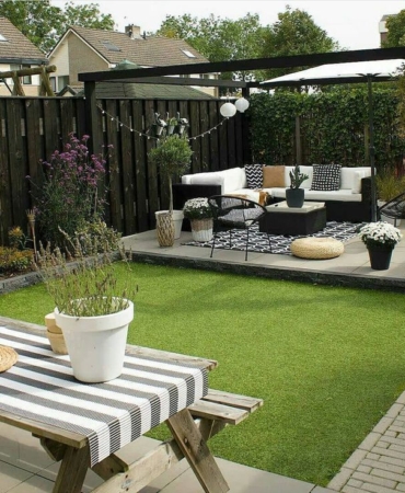 Çuha Çiçeği: Kırklareli Bahçelerinde Doğayı Renklendiren Güzellik