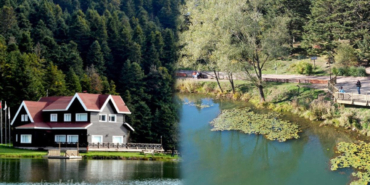 Kırklareli Meyve Ağaçları Çiçek Açtı: Baharın Güzellikleri Nelerdir?