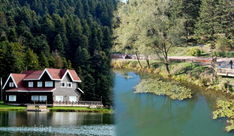 Kırklareli Meyve Ağaçları Çiçek Açtı: Baharın Güzellikleri Nelerdir?