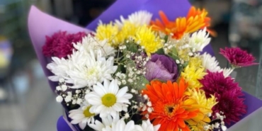 Gece Menekşesi: Baharın En Güzel Çiçeği Neden Bu Kadar Popüler?