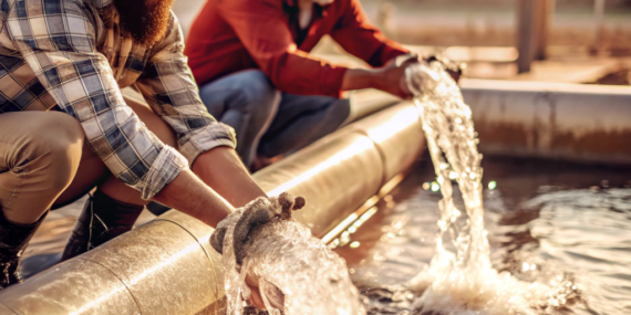 Tekirdağ Naip Barajı: Yağışlarla Yeniden Hayat Buldu