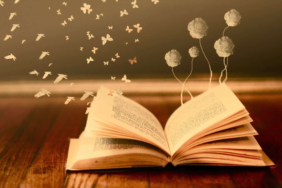 image_b77f5595-3fe1-44fe-9654-cad3b086519a.png