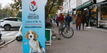 Kırklareli Sokak Hayvanları İçin Artan Duyarlılık Neden Önemli?