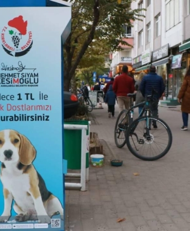 Kırklareli Sokak Hayvanları İçin Artan Duyarlılık Neden Önemli?