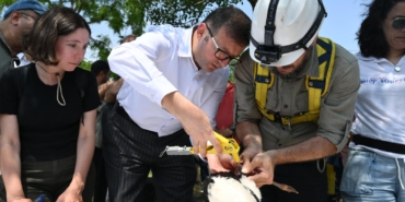 Kırklareli Leylek Şenliği: Baharın Başlangıcını Görenler