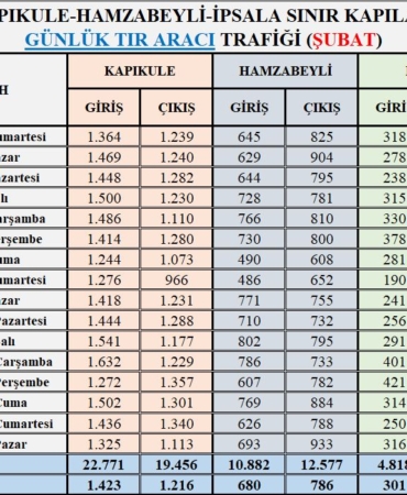 Edirne Kurban Bayramı Yaralanma Olayları: Neden Bu Kadar Çok?