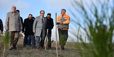 Lüleburgaz Fidan Üretimi İhalesi Hakkında Bilinmesi Gerekenler