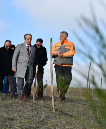 Lüleburgaz Fidan Üretimi İhalesi Hakkında Bilinmesi Gerekenler