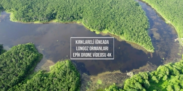 Kırklareli Vaşak Görüntüleriyle Ormanlarda Şok Gevşeme!