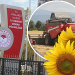 Kırklareli Ispanak Yetiştirme: Neden Herkes Bu Yöntemi Seçiyor?