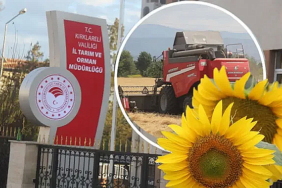 Kırklareli Ispanak Yetiştirme: Neden Herkes Bu Yöntemi Seçiyor?