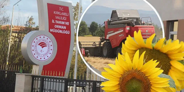 Kırklareli Ispanak Yetiştirme: Neden Herkes Bu Yöntemi Seçiyor?