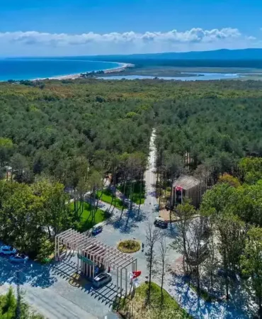 Kırklareli Sardunyaları: Bahçenize Renk Katmanın Yolları