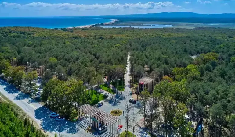 Kırklareli Sardunyaları: Bahçenize Renk Katmanın Yolları