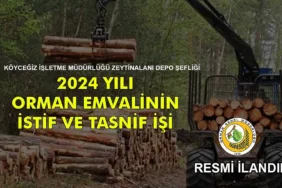 Kırklareli Orman İşletme Müdürlüğü İhaleleri Hakkında Öğrenmek İstediğiniz Her Şey