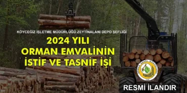 Kırklareli Orman İşletme Müdürlüğü İhaleleri Hakkında Öğrenmek İstediğiniz Her Şey