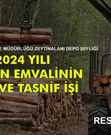 Kırklareli Orman İşletme Müdürlüğü İhaleleri Hakkında Öğrenmek İstediğiniz Her Şey