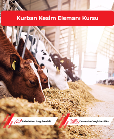 Kırklareli Kurban Bayramı Ziyareti: Vali Turan’dan Önemli Açıklamalar