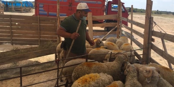 Kırklareli Kurban Kesim Yerleri: Sağlık ve Hijyen Denetimleri
