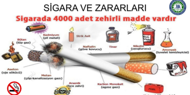 Sigara Bağımlılığı: Beyindeki Gizli Tehlikeler ve Çözüm Yolları
