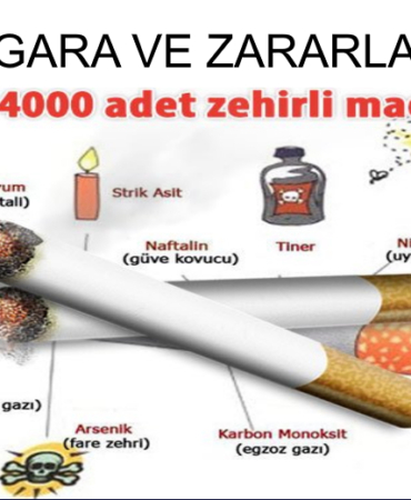 Sigara Bağımlılığı: Beyindeki Gizli Tehlikeler ve Çözüm Yolları