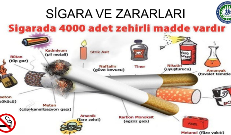 Sigara Bağımlılığı: Beyindeki Gizli Tehlikeler ve Çözüm Yolları