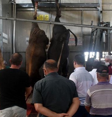 Kurban Kesim Elemanı Kursu Uzunköprü’de Kimler İçin Açılıyor?