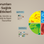 Beton Santrali Projesine Kırklareli Meclisinden Gelen Ret
