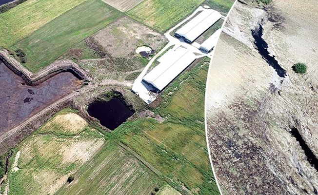 Kırklareli Çevre Felaketi: Atık Havuzunun Patlaması Neleri Getirdi?